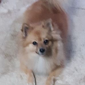 Meet your Posher, Brenda